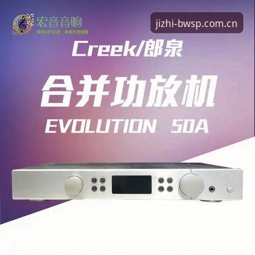 BWSP官网注册下载不了？实用技巧与必备知识全解析